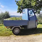 La Coccinella *