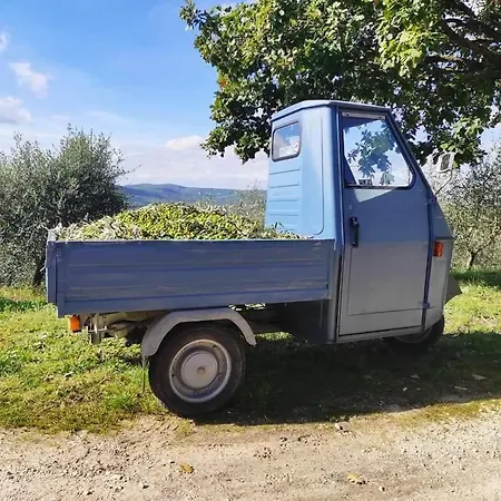 La Coccinella *