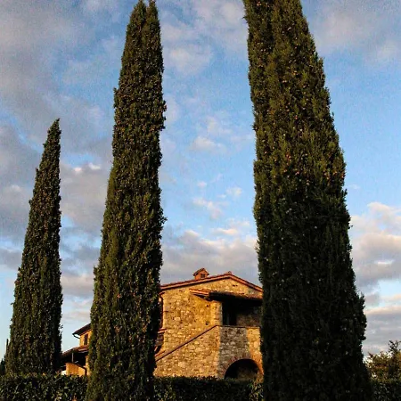 La Coccinella *
