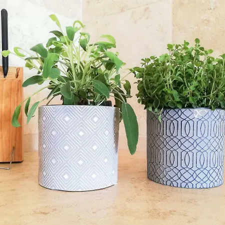 La Coccinella Apartamento