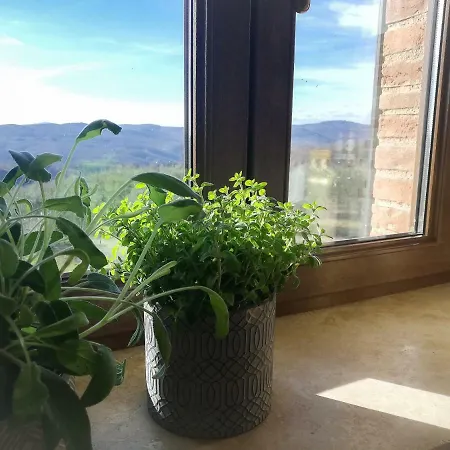 La Coccinella * San Venanzo