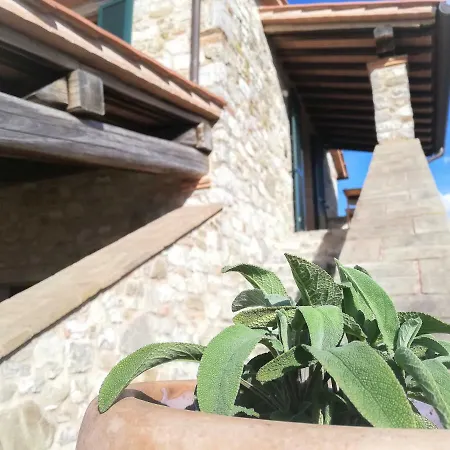 La Coccinella Apartment San Venanzo