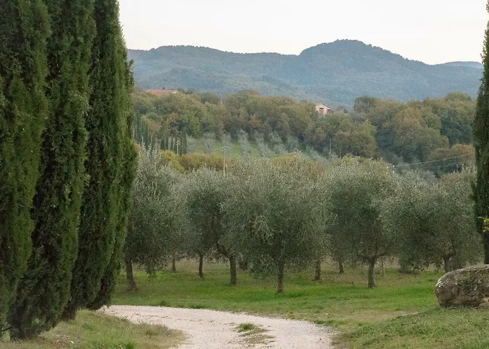 La Coccinella Apartment