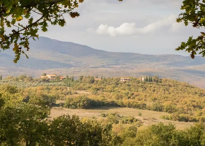 La Coccinella * San Venanzo