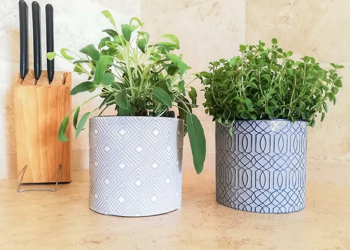 La Coccinella Apartment