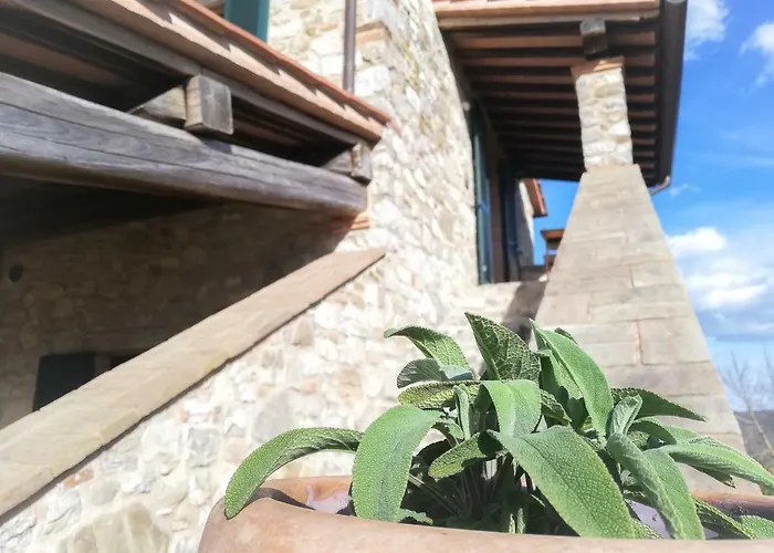 La Coccinella Apartment San Venanzo